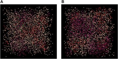 Evidence-Based Network Modelling to Simulate Nucleus Pulposus Multicellular Activity in Different Nutritional and Pro-Inflammatory Environments